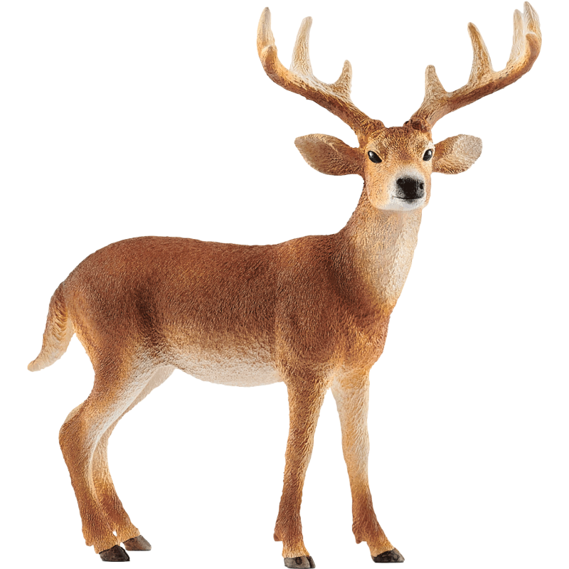 Schleich WILD LIFE 14818 Weisswedelhirsch