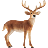 Schleich WILD LIFE 14818 Weisswedelhirsch