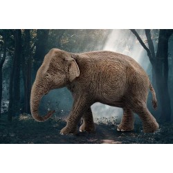Schleich Wild Life - Asiatische Elefantenkuh