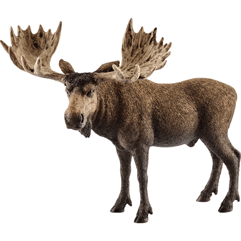 Schleich Wild Life - Elch Bulle Schleich Wild Life - Elch Bulle