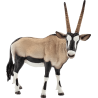 Schleich Wild Life - Oryxantilope