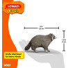 schleich WILD LIFE 14937 Waschbär
