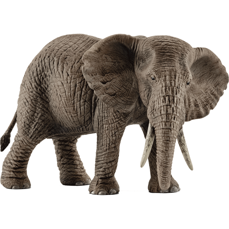 Schleich Wild Life - Afrikanische Elefantenkuh