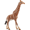 Schleich Wild Life - Giraffenbulle