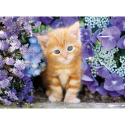 Clementoni Puzzle - Ginger cat