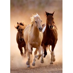 Clementoni Puzzle - Running Horses