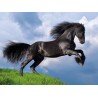 Clementoni Puzzle - Fresian Black Horse