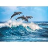 Clementoni Puzzle - Dolphins