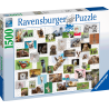 Ravensburger Puzzle - Funny Animals Collage Ravensburger Puzzle - Funny Animals Collage