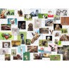 Ravensburger Puzzle - Funny Animals Collage Ravensburger Puzzle - Funny Animals Collage
