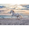 Ravensburger Puzzle - Pferd am Strand Ravensburger Puzzle - Pferd am Strand