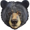 Madd Capp - I am Bear (Bär)