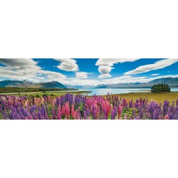 HEYE - Edition A. von Humboldt, Lake Tekapo