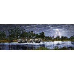 HEYE - Edition A. von Humboldt, Herd of Elephants